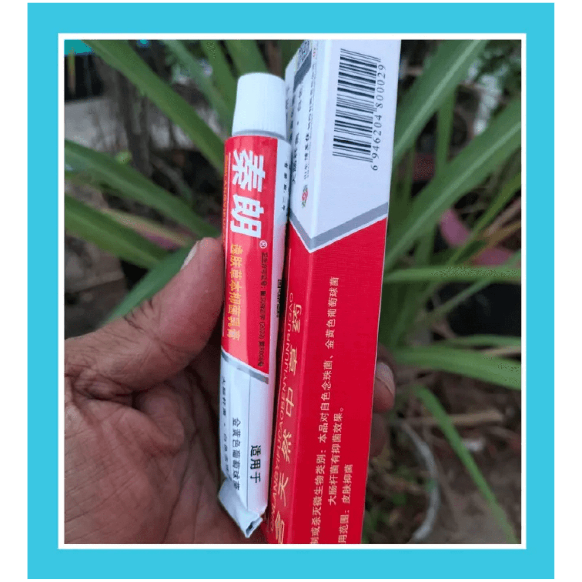 Qinlang Yifu Herbal Antibacterial Cream 20 g