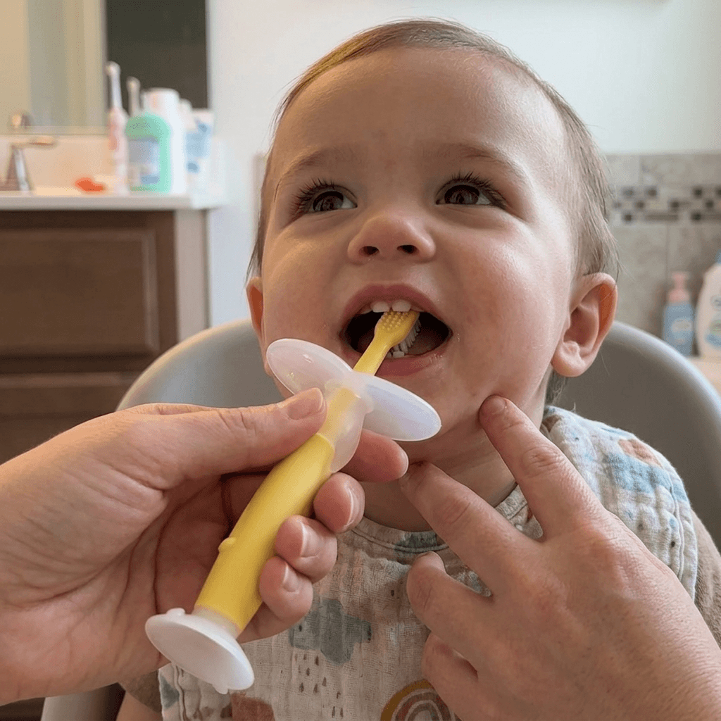 Apple Bear Silicone Baby Toothbrush (10m+)